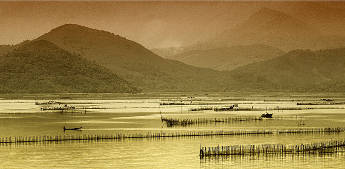 &Acirc;m hưởng đẹp tr&ecirc;n d&ograve;ng ph&aacute; Tam Giang